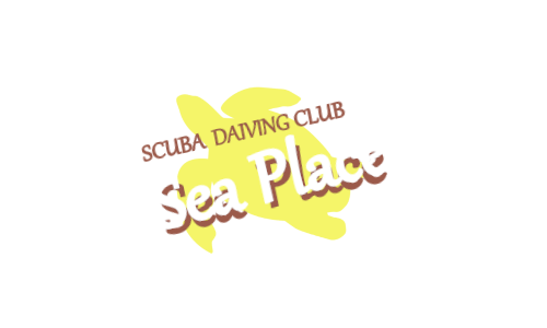 シープレイス（sea-place2025v1）